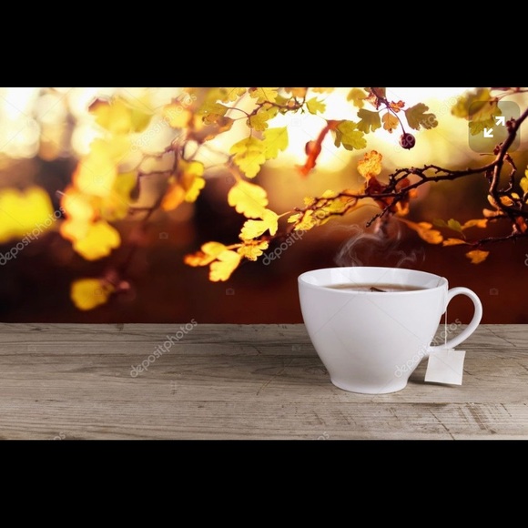 Meet your Posher, Sema - Picture 6 of 11